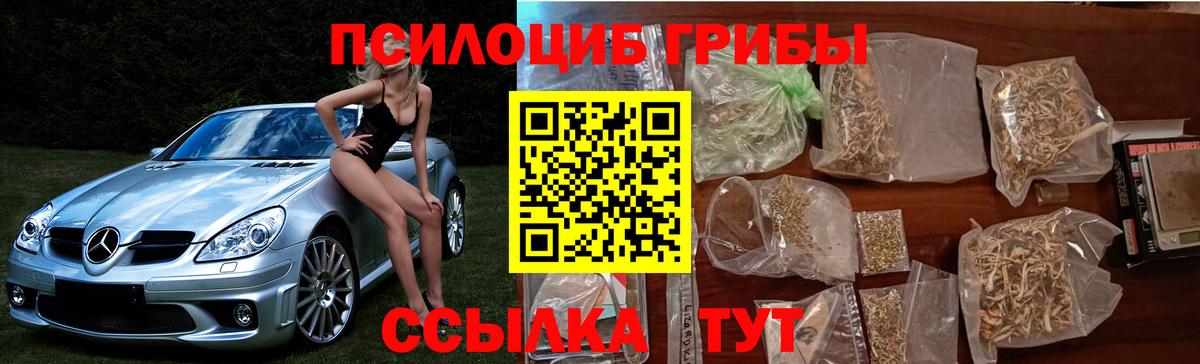 Свободный  Псилоцибиновые грибы Cubensis  Вход с VPN  наркошоп  Галлюциногенные грибы прущие грибы 